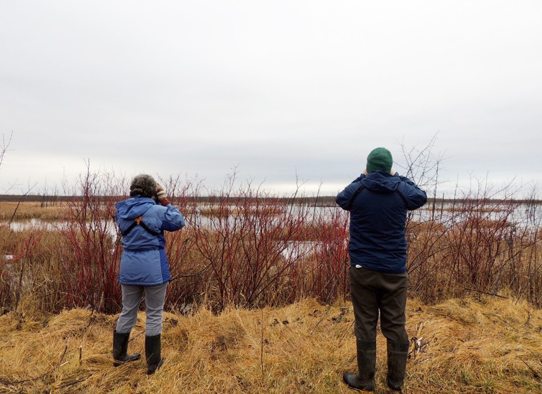 Volunteer Citizen Scientists counting birds at an Important Bird Area.