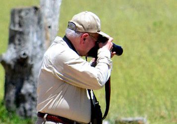 Participez au Birdathon 2021 – Pour le plaisir, la communauté et les oiseaux!