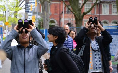 L’observation des oiseaux, l’ornithologie et la conservation à l’ère de la diversité