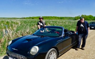 Avec le Birdathon viennent de beaux oiseaux, de bons amis et… de la bonne bouffe!