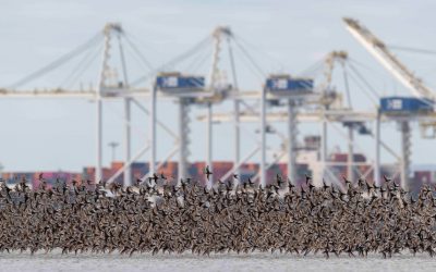 Un fonds communautaire ne peut remplacer nos merveilles naturelles