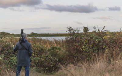 L’île Iona, une oasis pour les oiseaux – Préservons-la