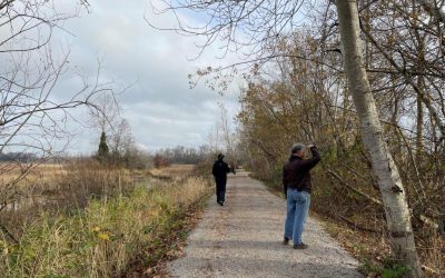 Succès du troisième dénombrement dans la ZICO de l’estuaire du Fraser, milieu essentiel pour les oiseaux hivernants