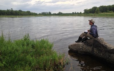 Bénévoles recherchés pour des relevés d’oiseaux et d’anoures dans la région des Grands Lacs