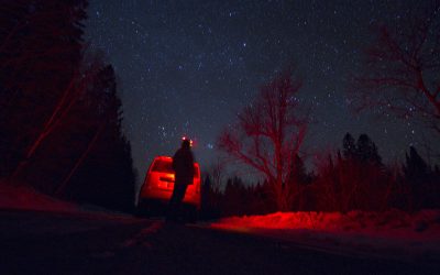 L’Inventaire des hiboux nocturnes du Québec a besoin de vous