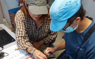 L’Atelier des jeunes ornithologues de retour à l’Observatoire d’oiseaux de Long Point