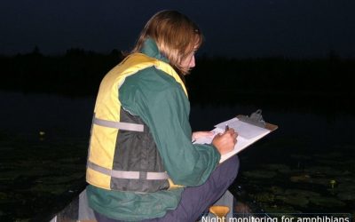 Occasion de bénévolat – Le Programme de surveillance des marais des Grands Lacs