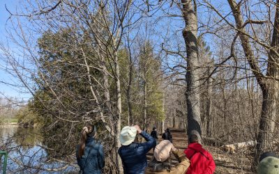 Le plus vaste effort provincial de citoyens scientifiques bénévoles visant à aider les oiseaux et la biodiversité en Ontario se poursuit