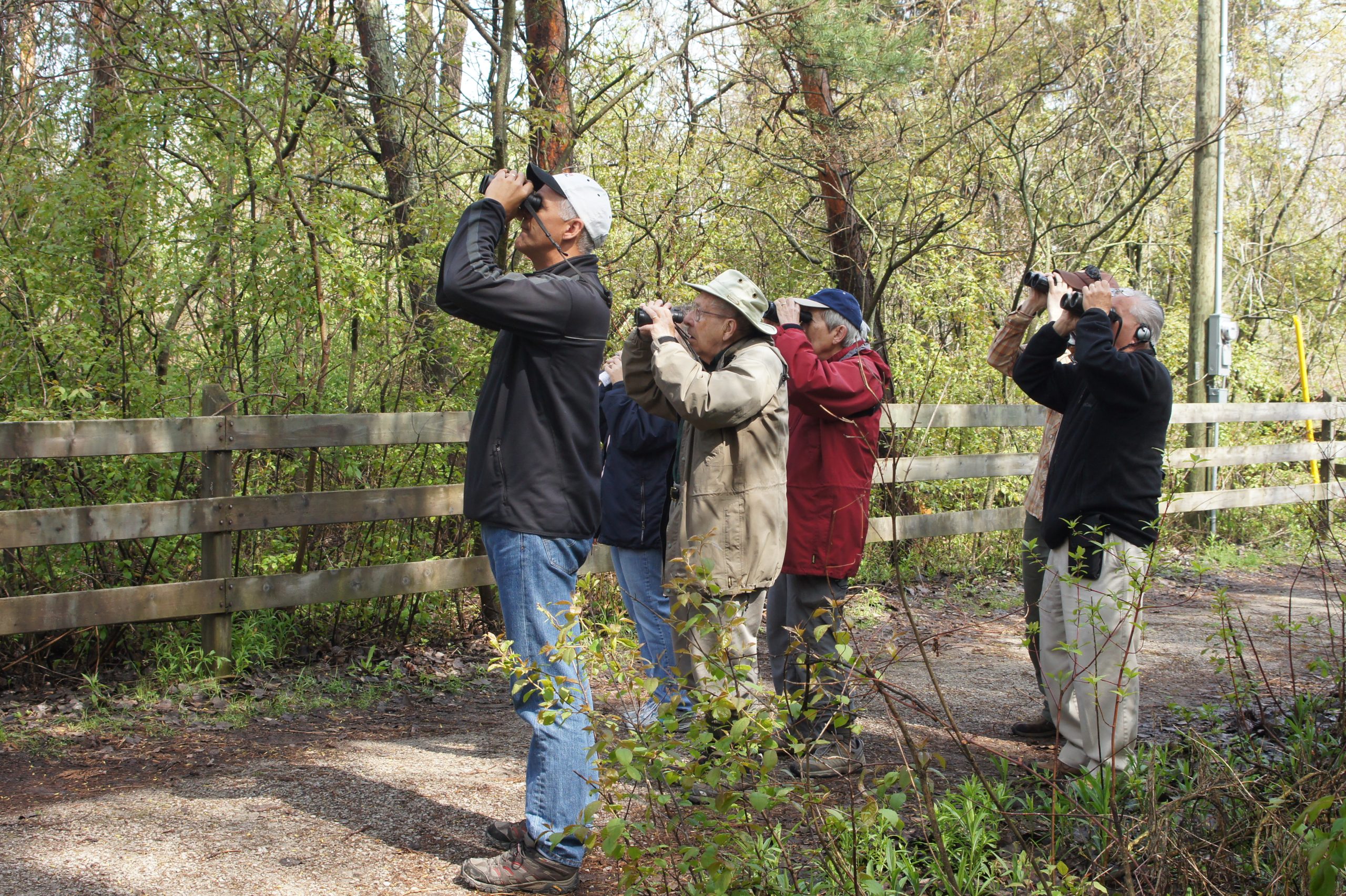 Keen Birdathon participants in the wild.