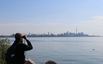 La Fête des oiseaux de Toronto est de retour!