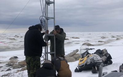 La technologie de la conservation au service de la surveillance aviaire dans le Nord