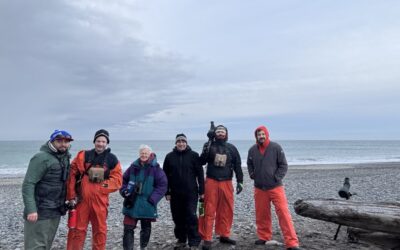 Les oiseaux du bout du monde: Le RON à Haida Gwaii